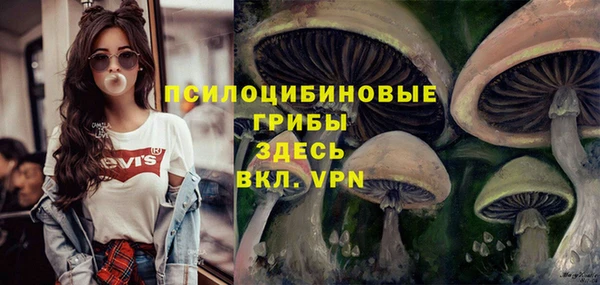 спайс Аркадак