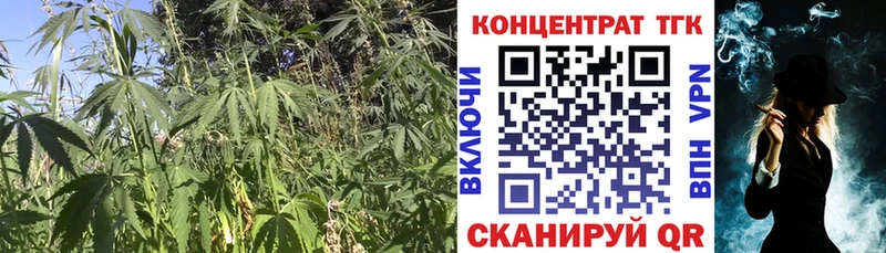 Дистиллят ТГК THC oil  площадка Telegram  Хвалынск  где купить наркоту 